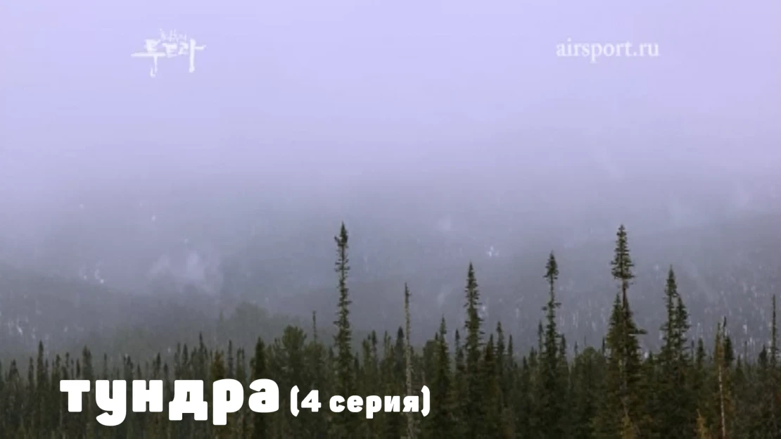 За 70 параллелью (Серия 4)