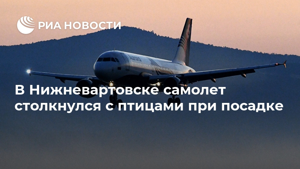 В Нижневартовске самолет столкнулся с птицами при посадке В Нижневартовске самолет столкнулся с птицами при посадке