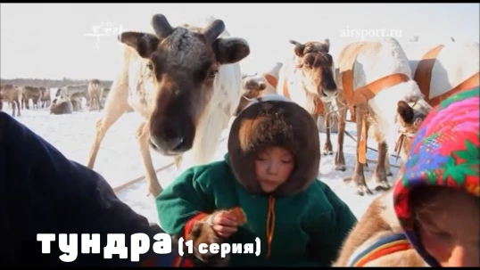 За 70 параллелью (Серия 1) За 70 параллелью (Серия 1)