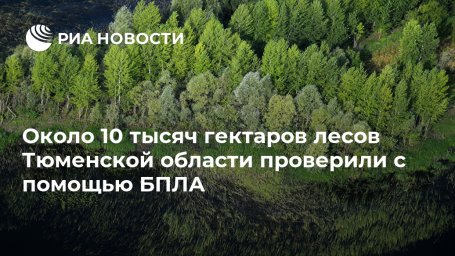 Около 10 тысяч гектаров лесов Тюменской области проверили с помощью БПЛА Около 10 тысяч гектаров лесов Тюменской области проверили с помощью БПЛА