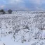 Клово 2