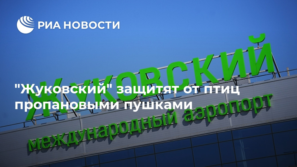 "Жуковский" защитят от птиц пропановыми пушками