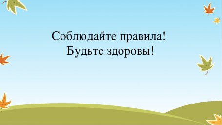 Правила сайта
