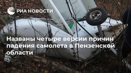 Названы четыре версии причин падения самолета в Пензенской области