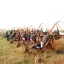 ПЕРВЫЕ соревнования среди аэрошютов 2011 0