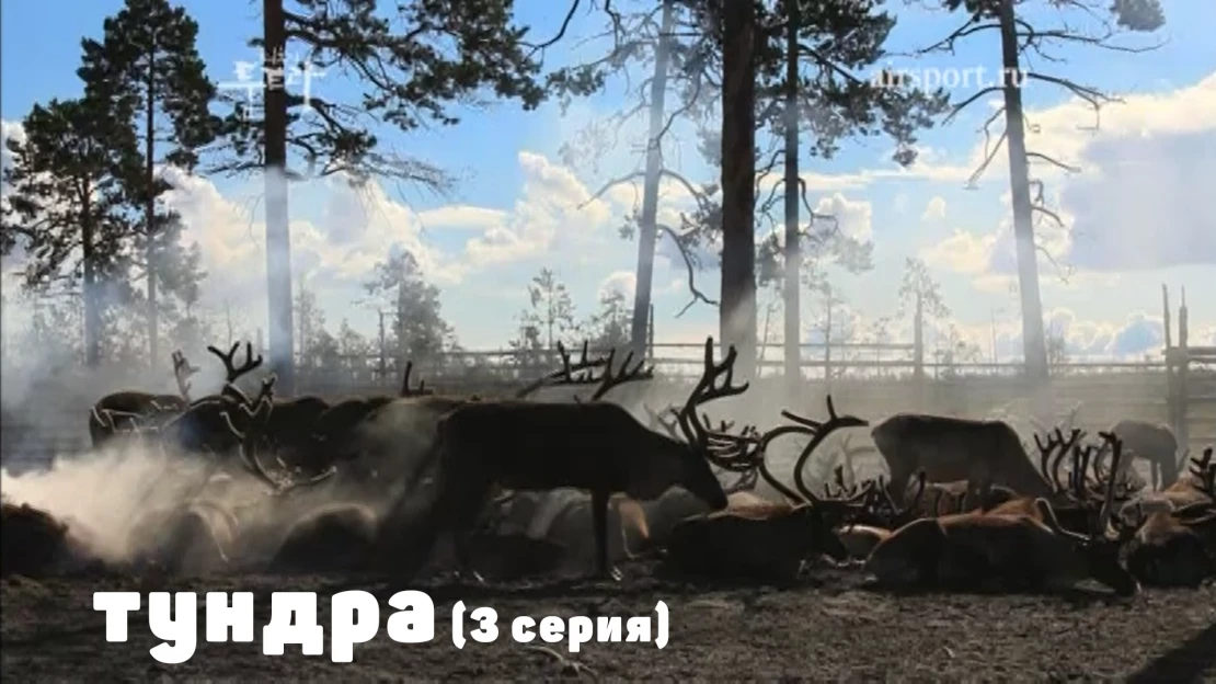 За 70 параллелью (Серия 3) За 70 параллелью (Серия 3)
